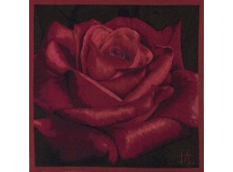 Red Rose