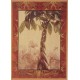 Le Ficus
