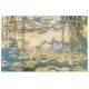 Les Nymphéas - Claude Monet