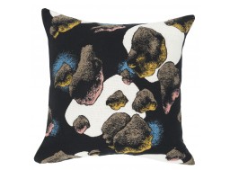 Housse "Cosmic" de J.Colombier