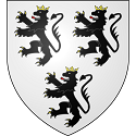 "Point d'Halluin" weave
